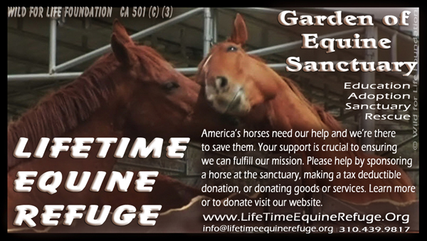 Lifetime Equine Refuge BNR